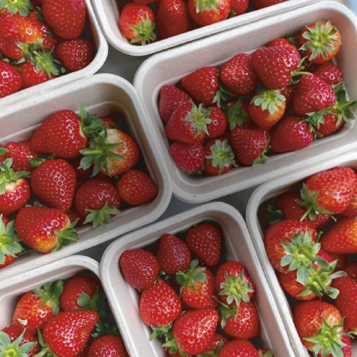 strawberries