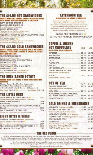 Old Forge MENU March252